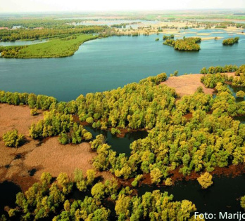 WWF priprema čišćenje kanala u Kopačkom ritu