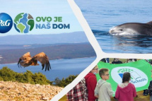 Čuvajmo svoj dom od malih nogu!  Ekoškole i Procter&Gamble za očuvanje biološke raznolikosti